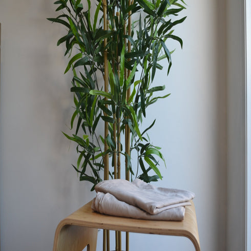 Chino Coloured Pillowcase Set